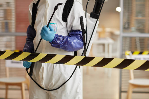 Professional Sewage Cleanup technician working in Greentown, OH